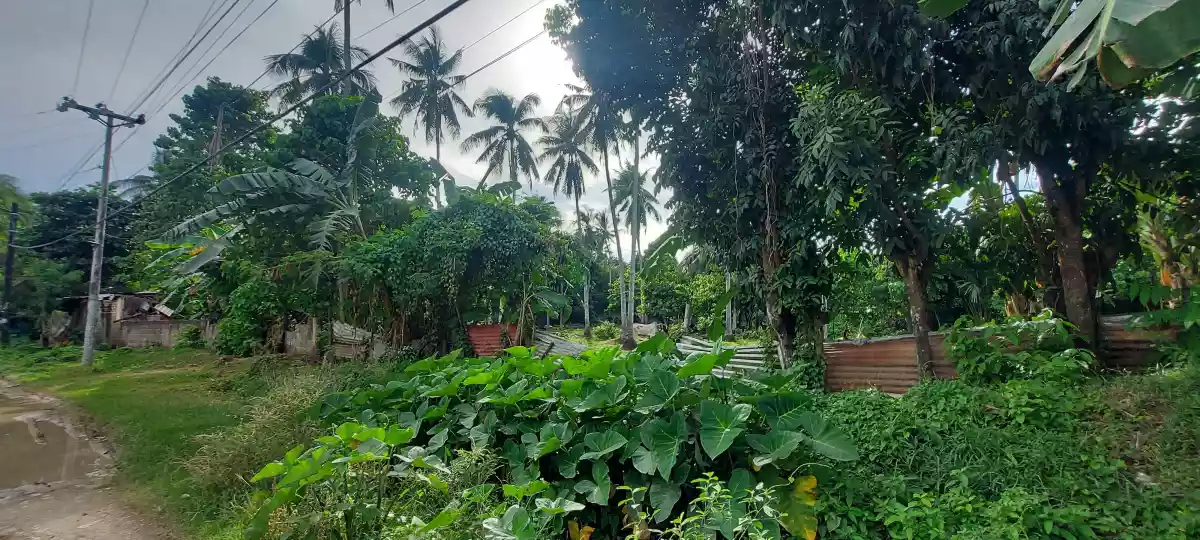 Lot for Sale - Ideal for Industrial Purpose - photo 5