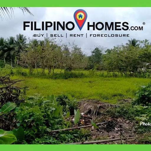 Residential lot — Residential Lot in Butuan City, Agusan Del Norte, Philippines — Photo 4
