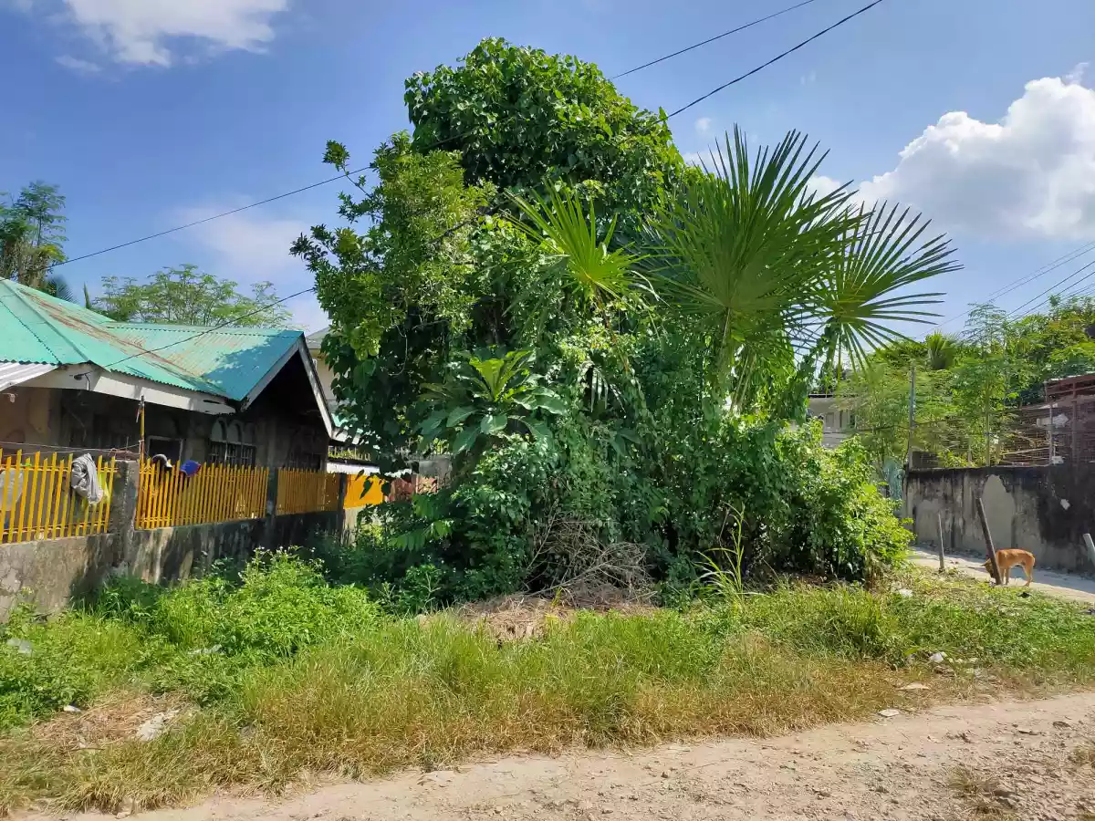 Residential Lot For Sale in Yati, Liloan, Cebu!