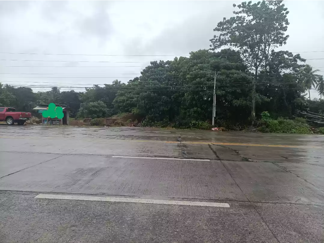 For Sale- LOT only (  4,800 sq. meters ) situated at the industrial zone along main highway of Digos City. — Agricultural Lot in Davao del Sur, Philippines — Photo 2