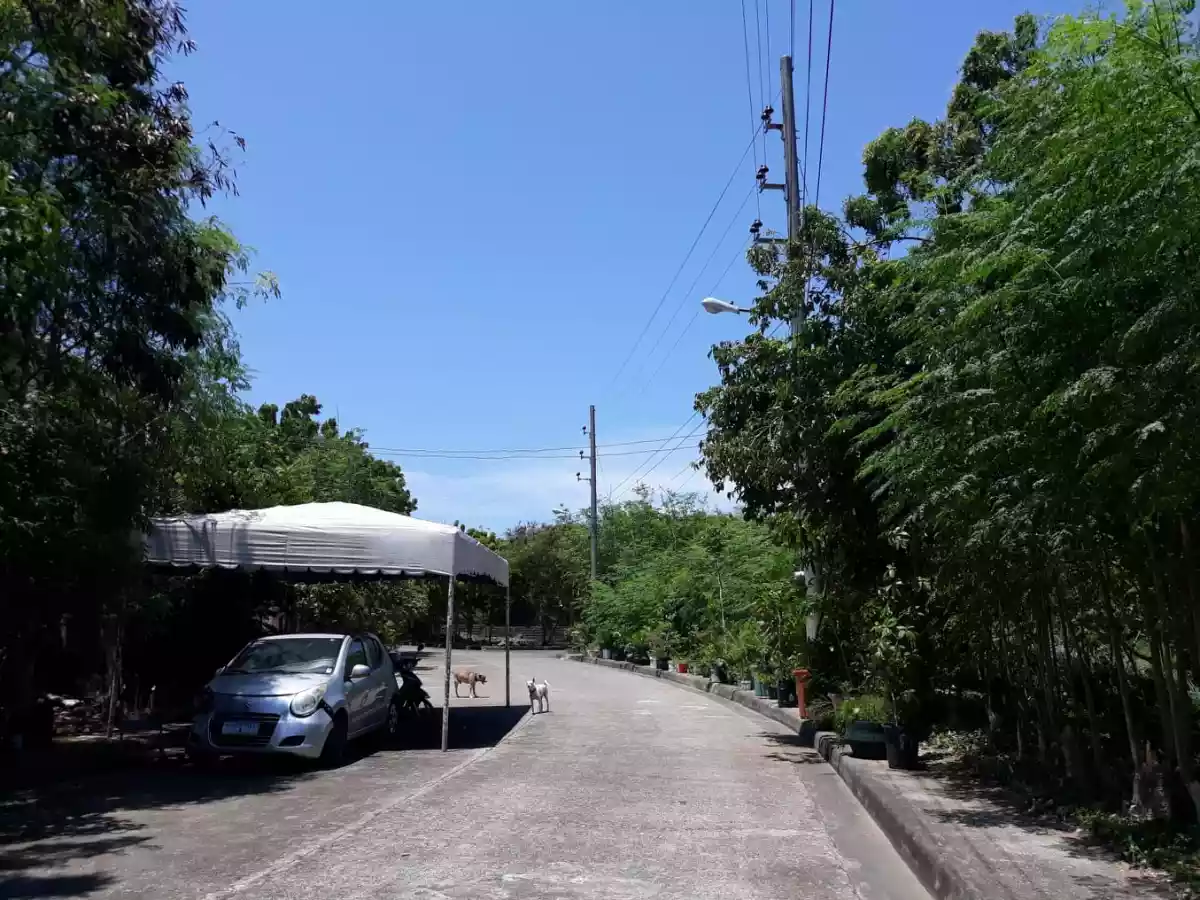 Rush Sale!!! 358 sqm Titled Lot inside Vista Mar Subdivision Lapu-Lapu City - photo 5