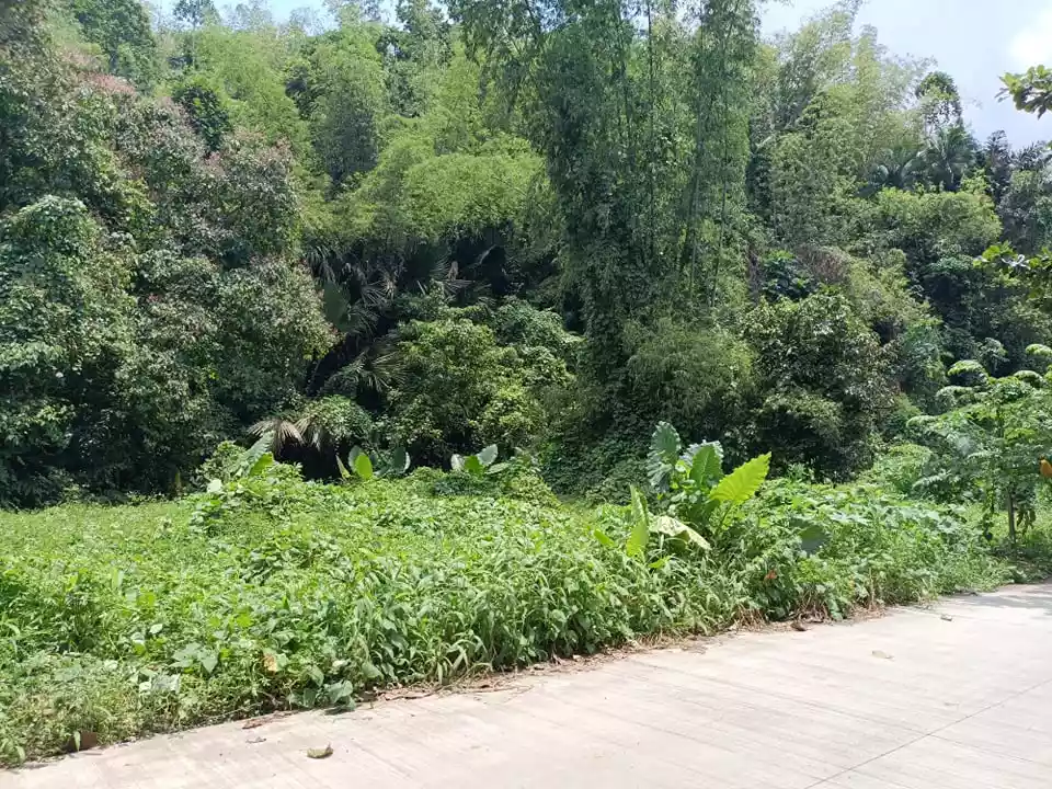 Lot for Sale in Garing, Consolacion - photo 5