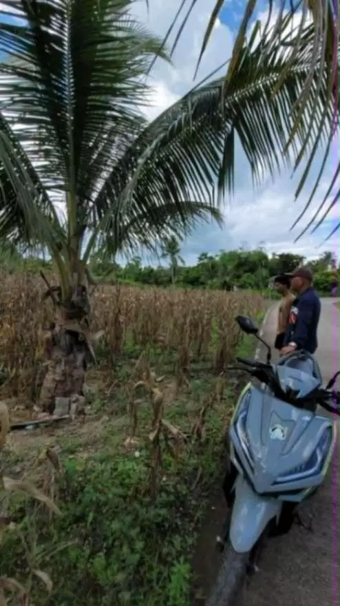 Lot for Sale (Camotes Island) - photo 5