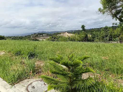 Lot for sale — Residential Lot in Talisay, Cebu, Philippines — Photo 5