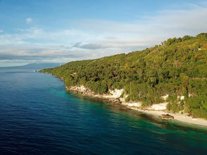For sale Beach lot in Bangcogon Oslob Cebu  - photo 7