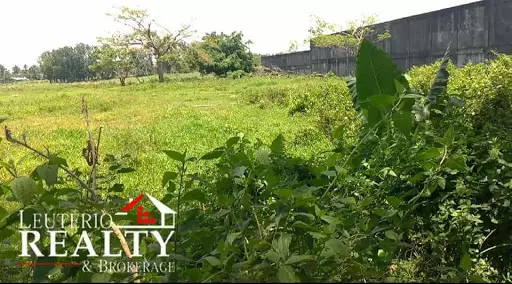 Rush Sale??

Agricultural Lot Property
Lot Area: 41,050 sq.m

-along National Road 
-Cash Basis 
-Good for Investment — Agricultural Lot in Camarines Sur, Philippines — Photo 4