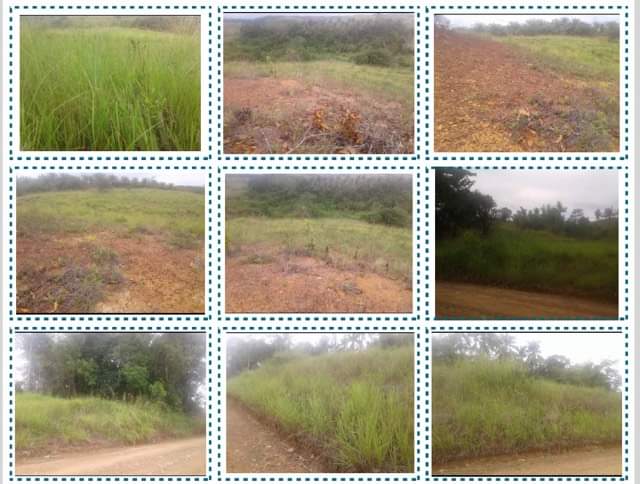 Lot for sale - photo 2