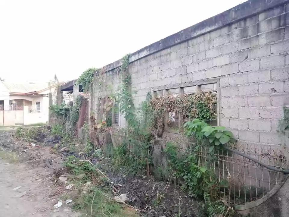 301 sqm Titled Residential Lot in Kauswagan Cagayan de Oro - photo 7