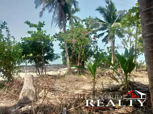 Agri BeachFront For Sale!!! — Beach Lot in Camarines Sur, Philippines — Photo 6