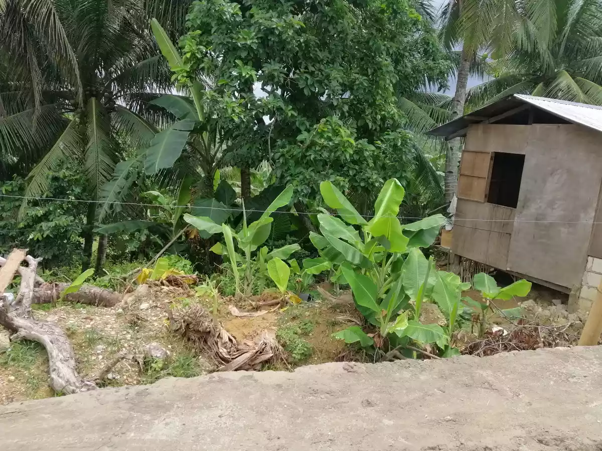 Lot for Sales along barangay Road. 