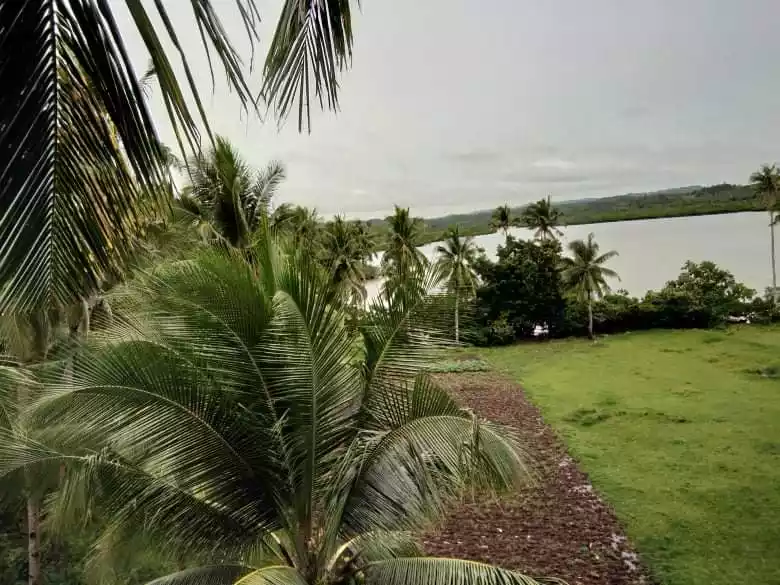 BEACHLOT FOR SALE IN GEN. LUNA SURIGAO DEL NORTE SIARGAO ISLAND 