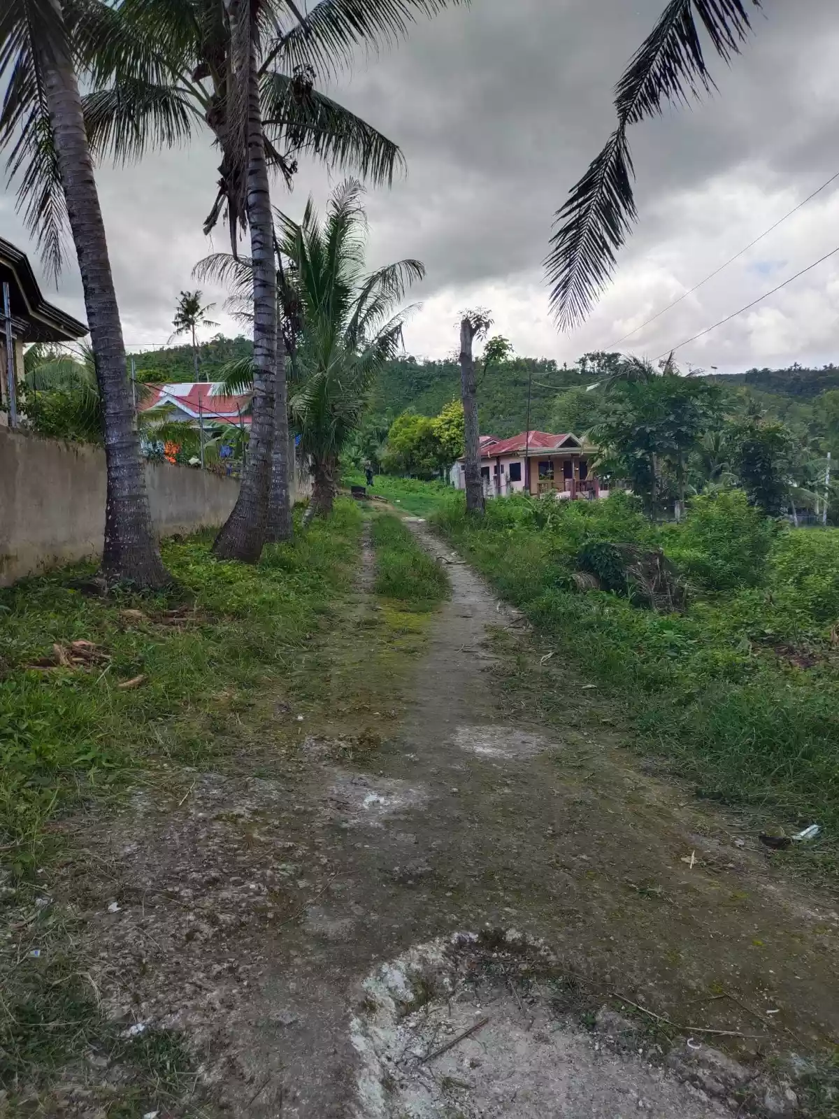 For Sale Titled Lots in Bolinawan, Carcar City — Residential Lot in Carcar City, Cebu, Philippines — Photo 6