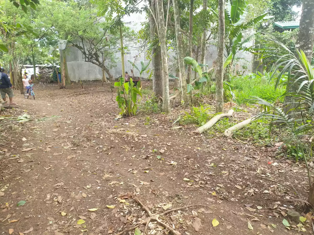 Rush Sale Residential Lot — Residential Lot in Malaybalay, Bukidnon, Philippines — Photo 5