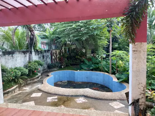 3 houses in 1 lot — House and Lot in Lapu-Lapu City, Cebu, Philippines — Photo 3