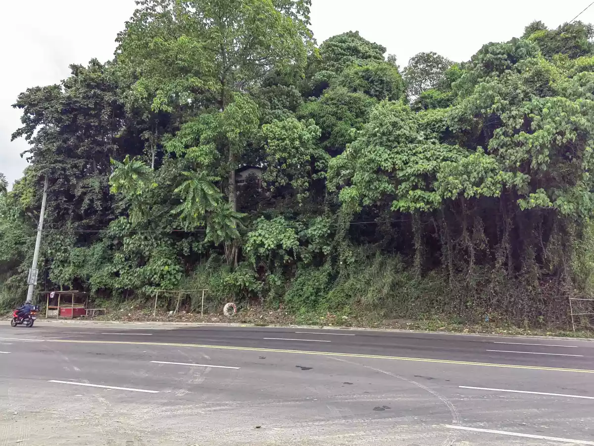 2,500 sqm LOT in BRGY. Bangkal Davao City FOR SALE! - photo 6