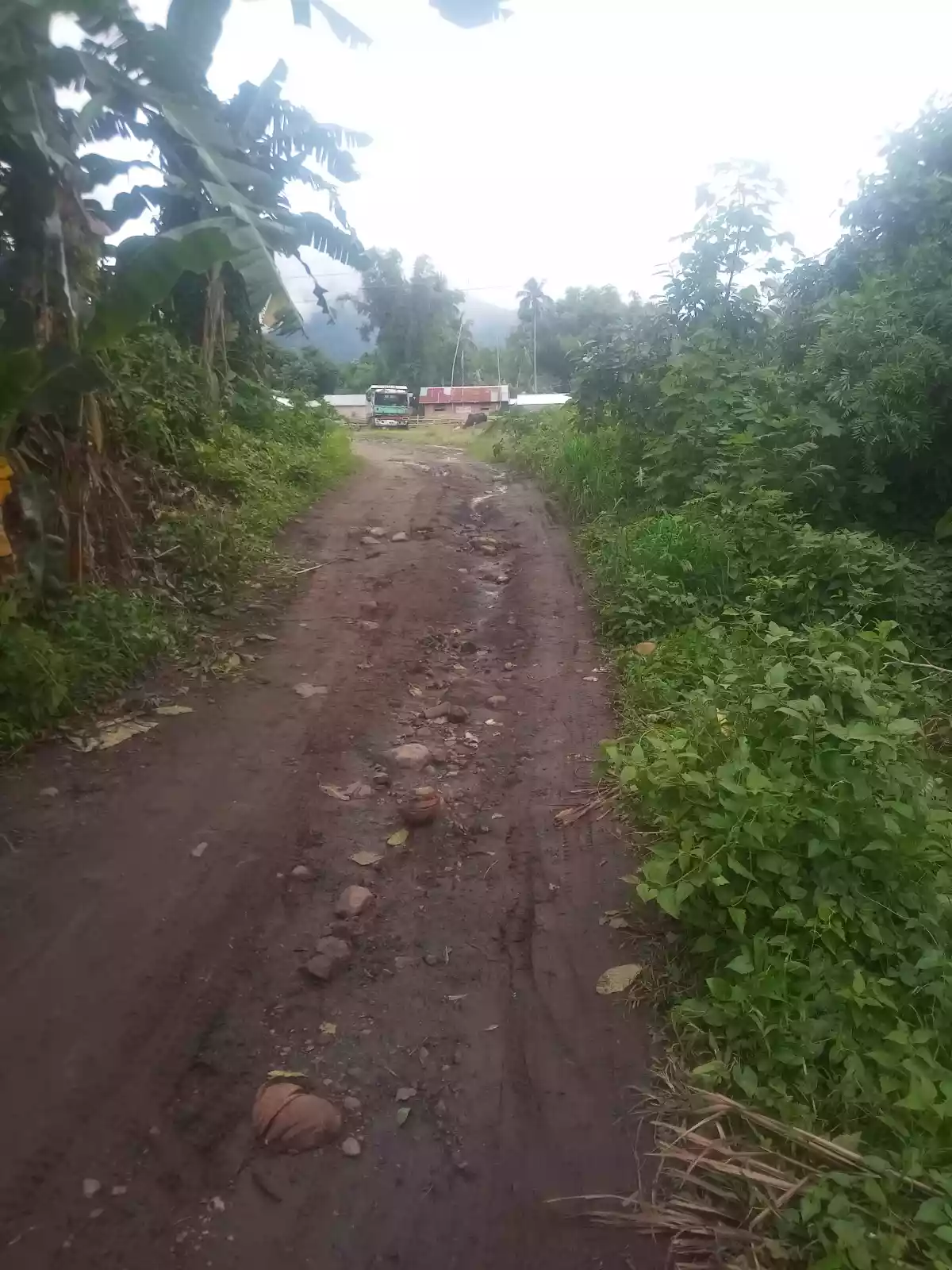 Bong ao Valencia Negros Oriental - photo 6