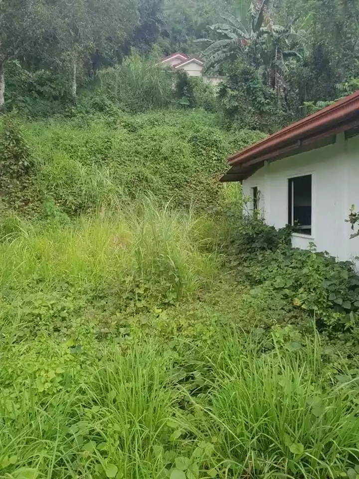 PULANG BATO, CEBU CITY Rush House and Lot for Sale ! — Residential Lot in Cebu City, Cebu, Philippines — Photo 7