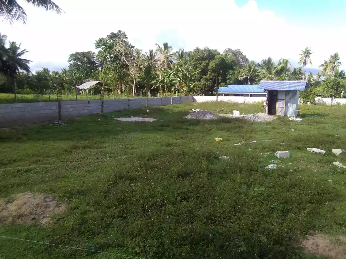 LOT FOR SALE IN SIBULAN - photo 3