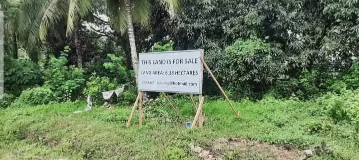 Agricultural Land For Sale in Dolo, Bansalan - photo 4