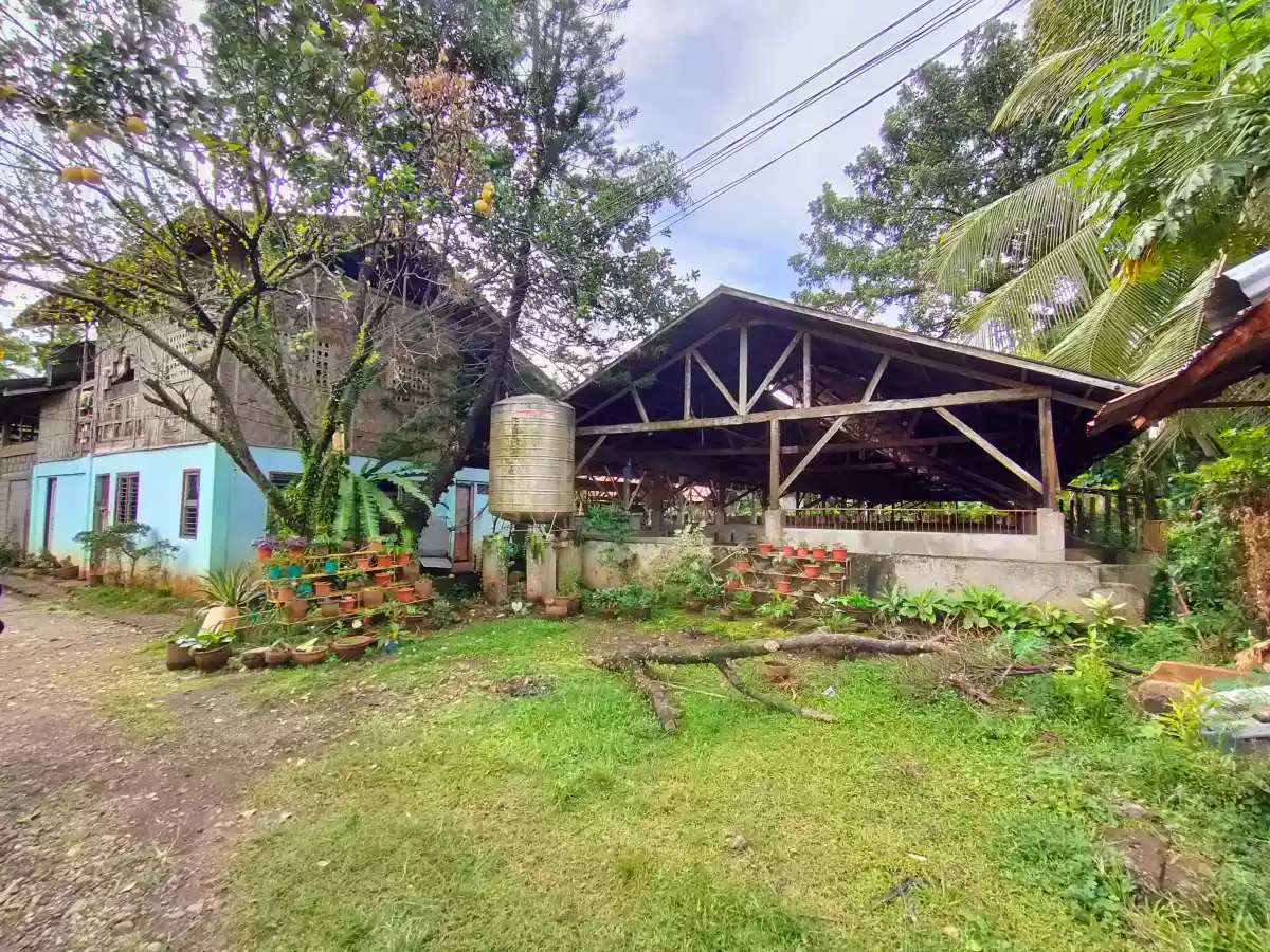 TORIL 1.86HAS FARM LOT WITH PIGGERY FOR SALE — Agricultural Lot in Davao City, Davao del Sur, Philippines — Photo 5