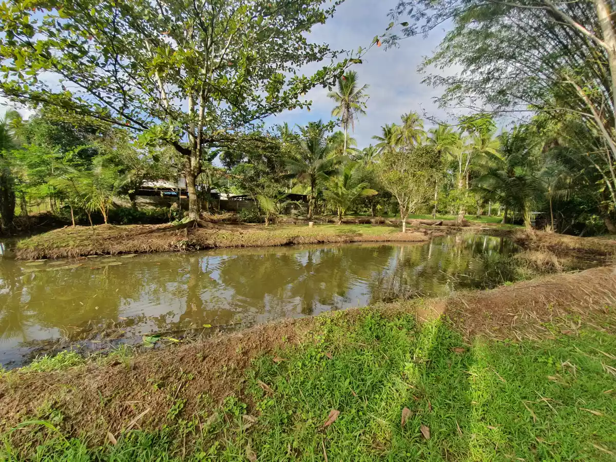 PRIVATE FARM RESORT WITH SWIMMING POOL — Agricultural Lot in Trento, Agusan del Sur, Philippines — Photo 4