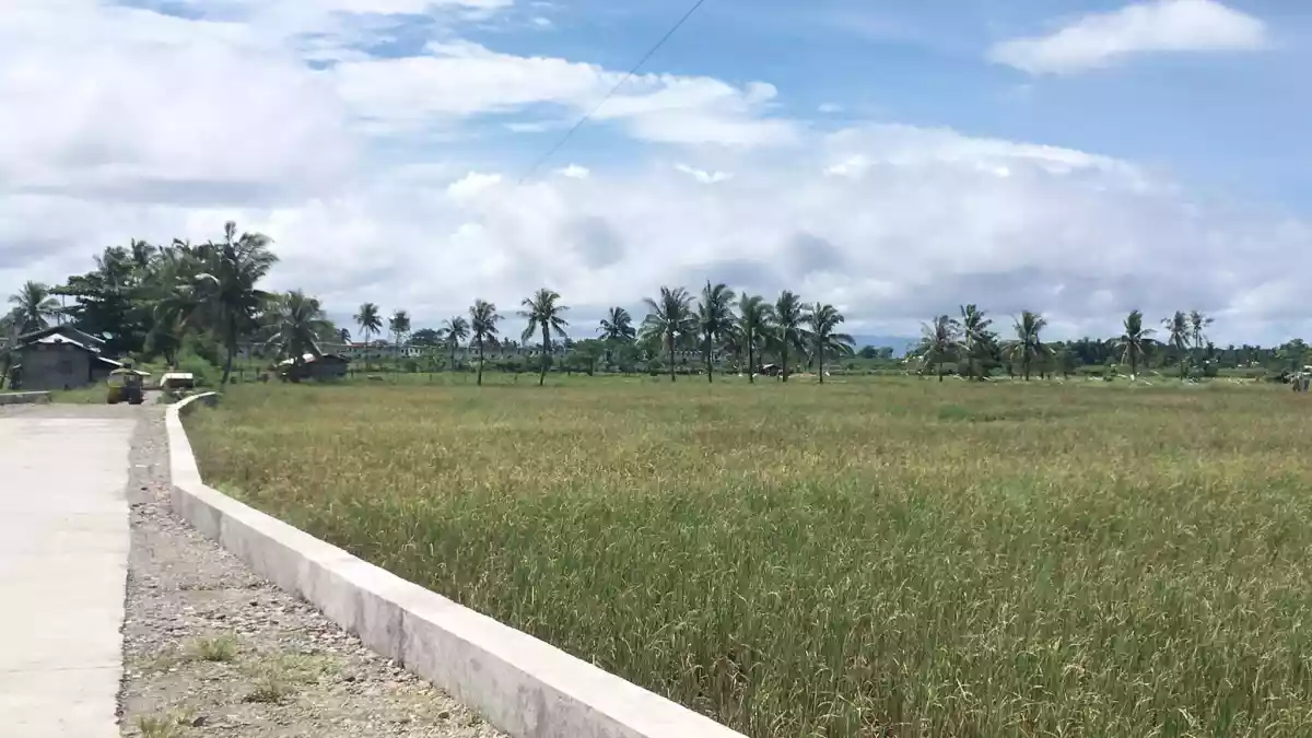 FOR SALE Agricultural /residential lot - photo 5