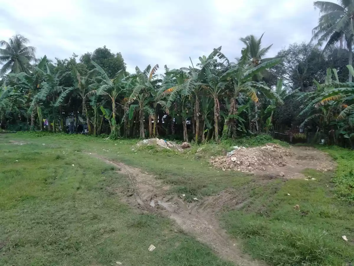 Affordable lot - photo 3