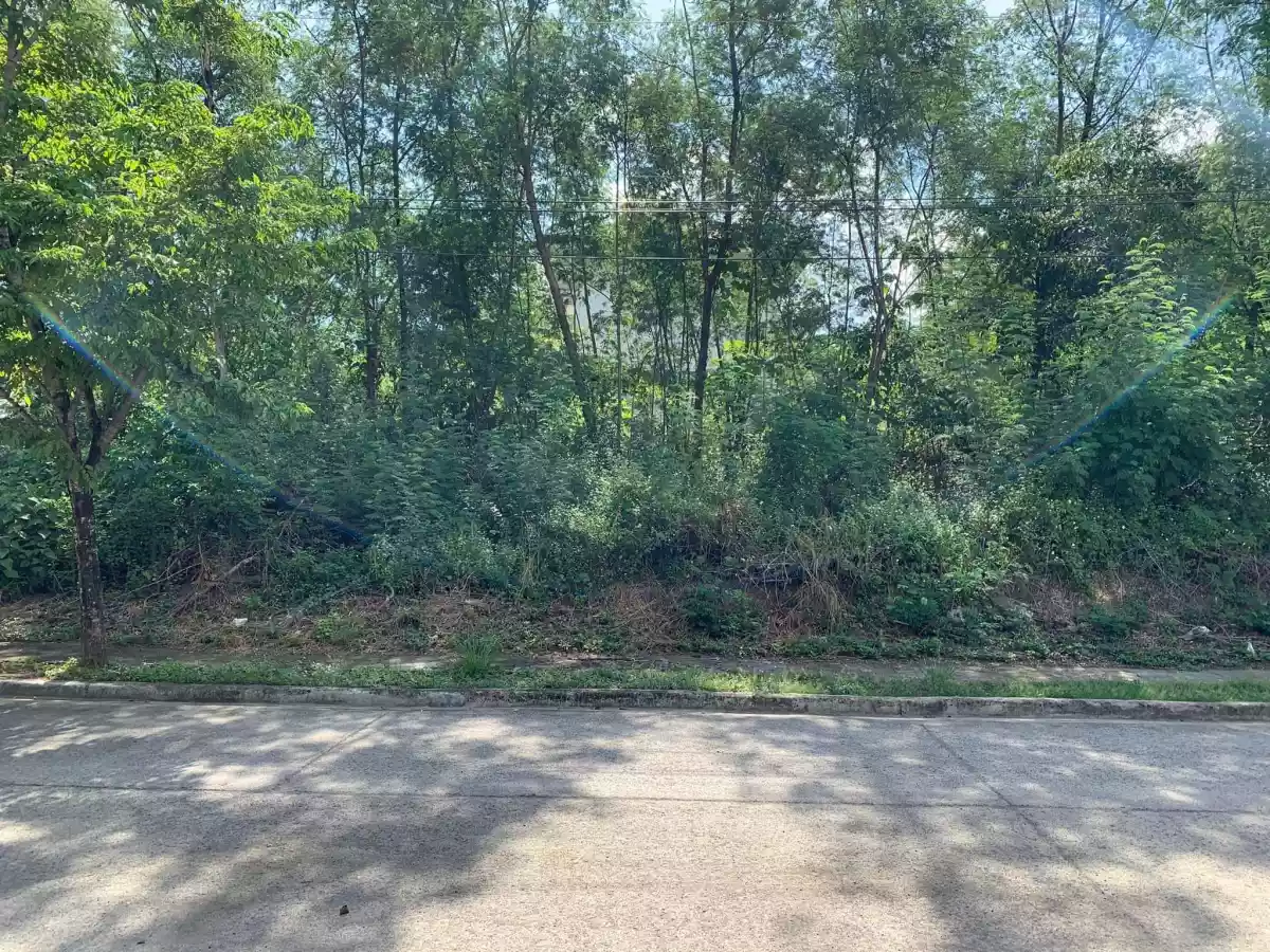 LOT FOR SALEâ€¼ï¸ - photo 5