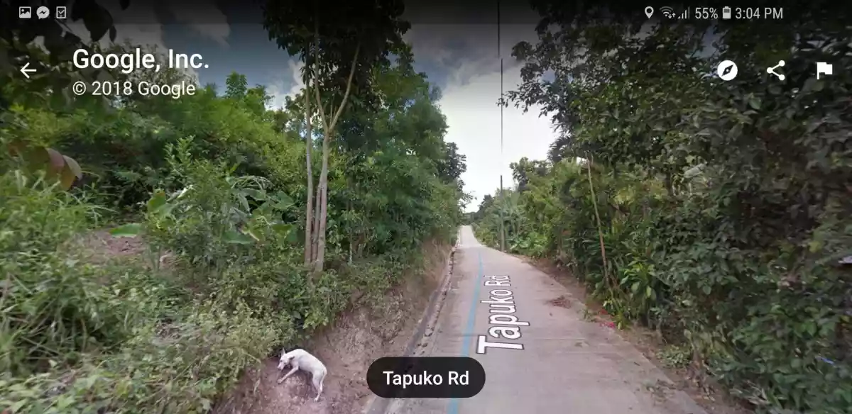 Lot for Sale in Pit-os Talamban, Cebu City  - photo 6