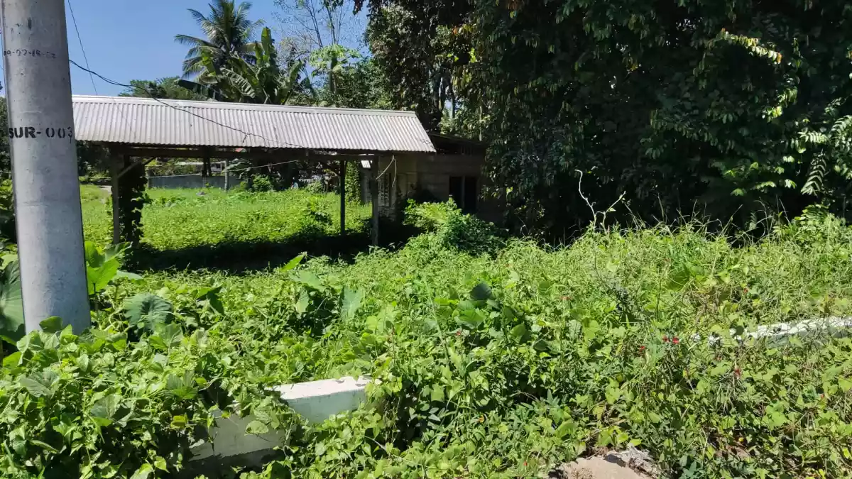 2400 sqms few meters from highway - photo 3