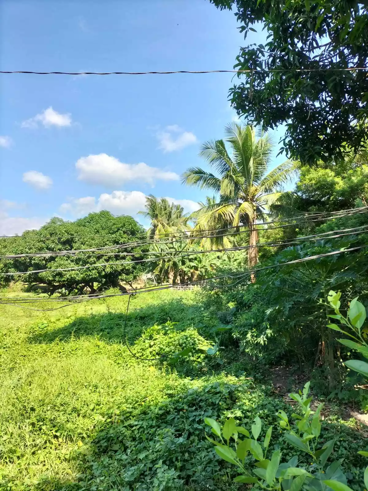 Batinguel Diversion Residential 6879sqm Lot For Sale — Residential Lot in Negros Oriental, Philippines — Photo 5