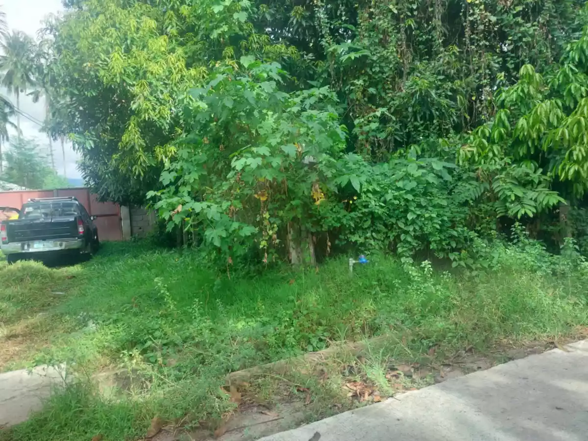 Open photo 14 of 26 — Farm Lot Convertible to Residential