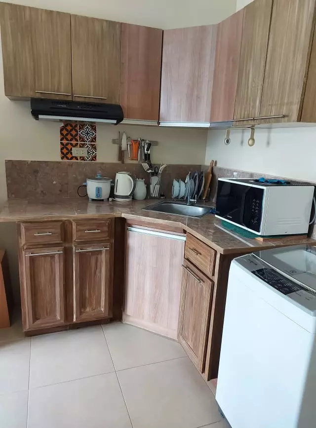 AVIDA RIALA T-2 STUDIO FOR RENT  - photo 4