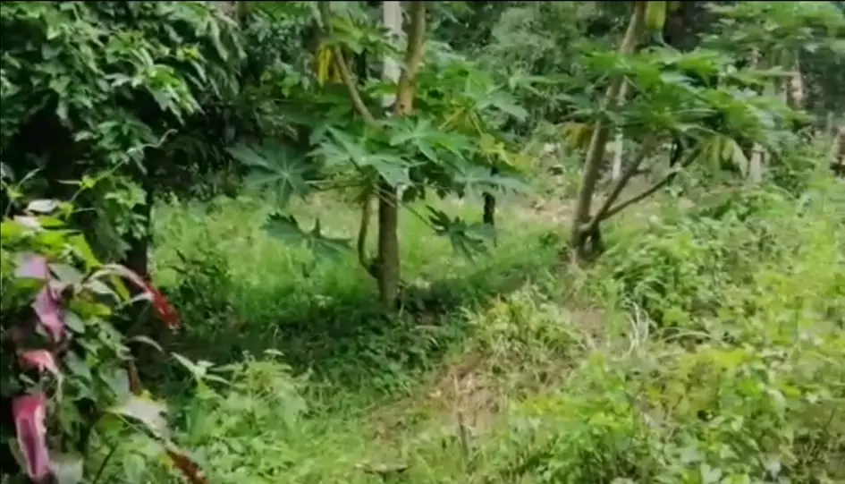 LOT FOR SALE IN BUSAY NEGOTIABLE - photo 5