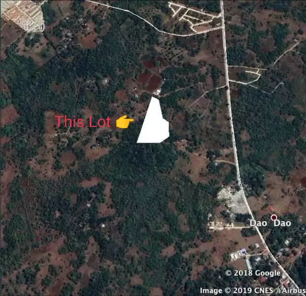 Lot For Sale in Dauis, Bohol