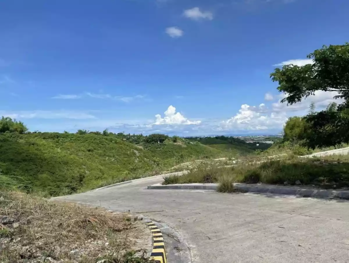 LOT FOR SALE IN VISTA VERDE CONSOLACION - photo 4
