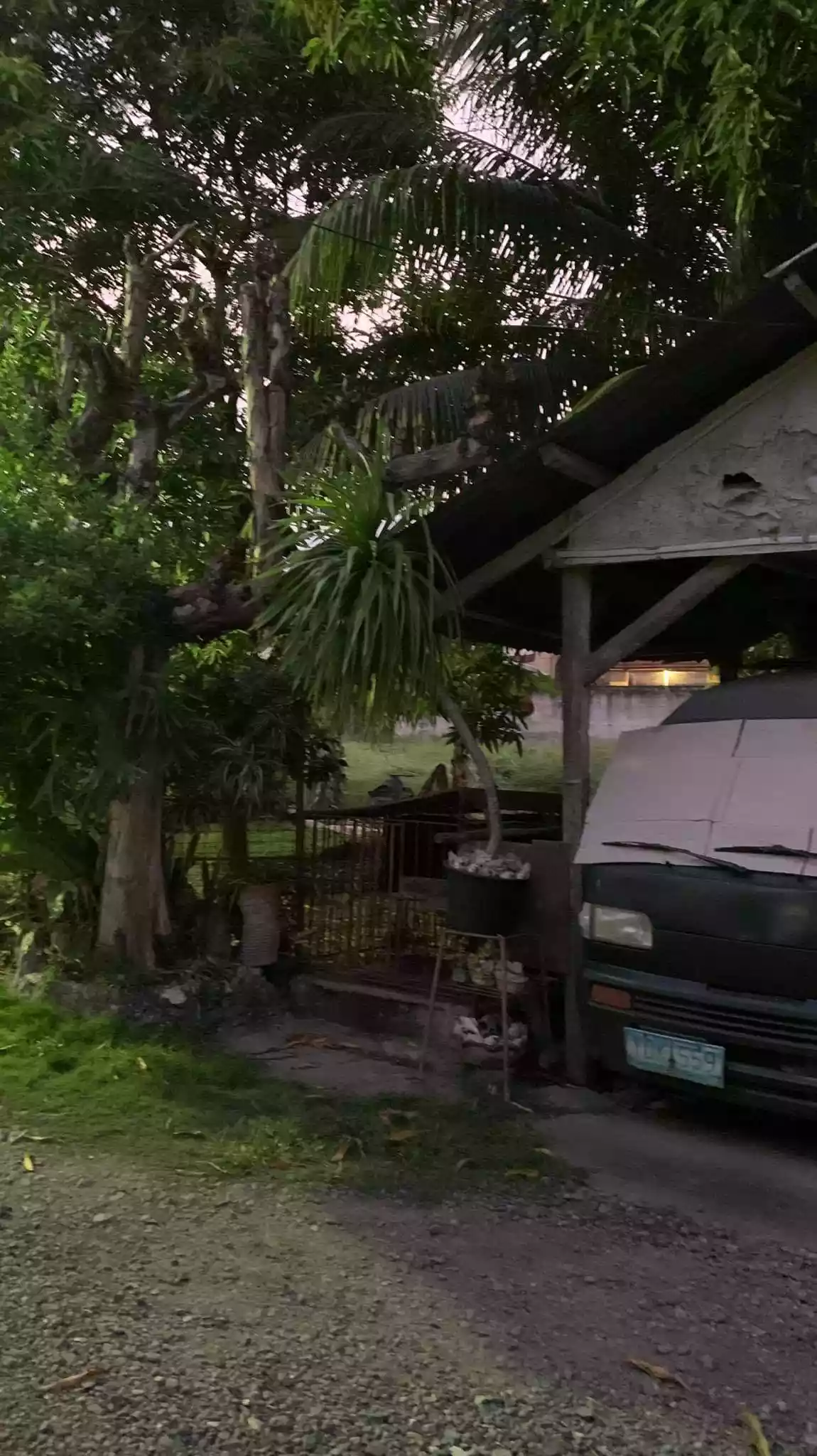 Titled Lot — Residential Lot in Talisay, Cebu, Philippines — Photo 4