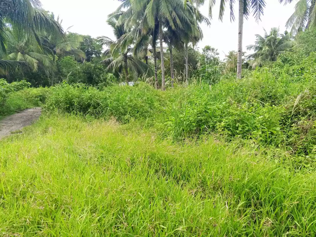 9.2 Hectares Land — Residential Lot in General Santos City, South Cotabato, Philippines — Photo 6