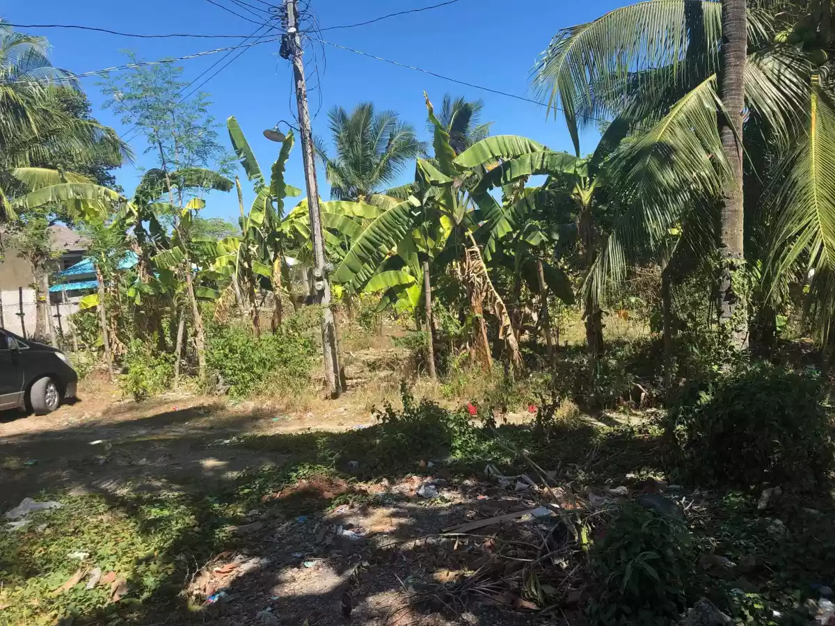 406 SQM IN NAGA CEBU - photo 4