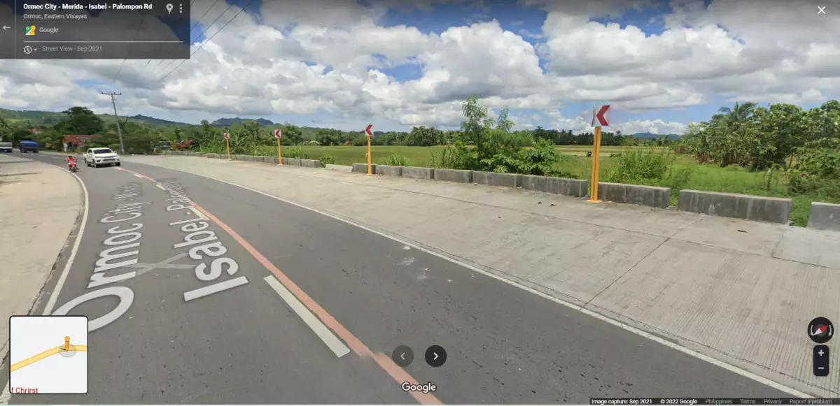 Commercial Lot for Sale — Residential Lot in Ormoc, Leyte, Philippines — Photo 4