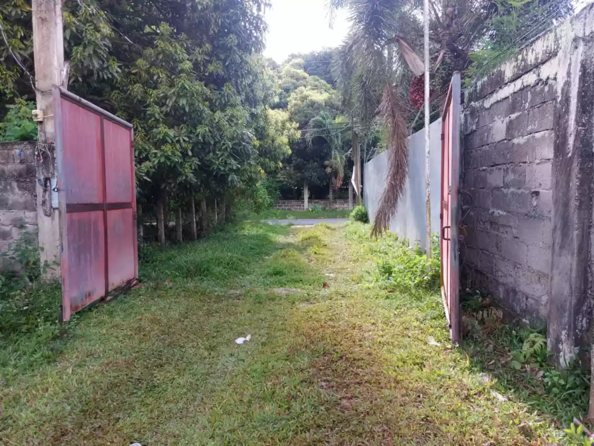 Farm Lot Convertible to Residential — Agricultural Lot in Negros Oriental, Philippines — Photo 7
