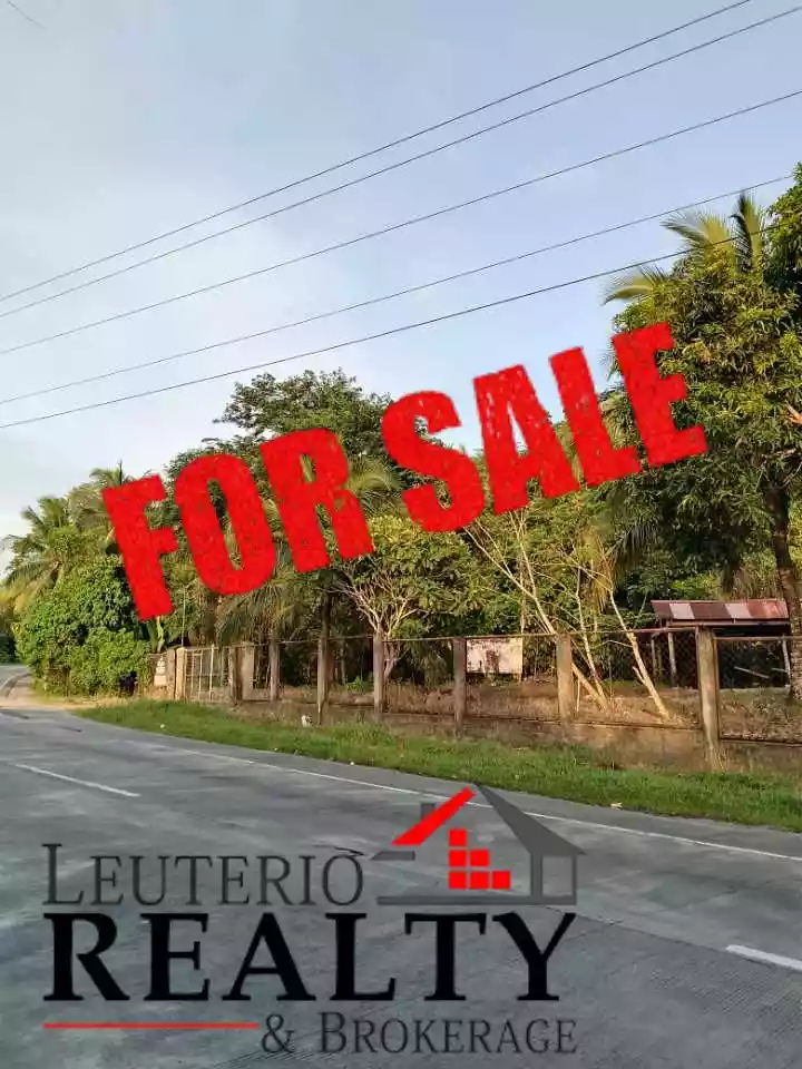 20,000 SQ.M. (Agricultural/Residential/Industrial) LOT — Agricultural Lot in Camarines Sur, Philippines — Photo 3