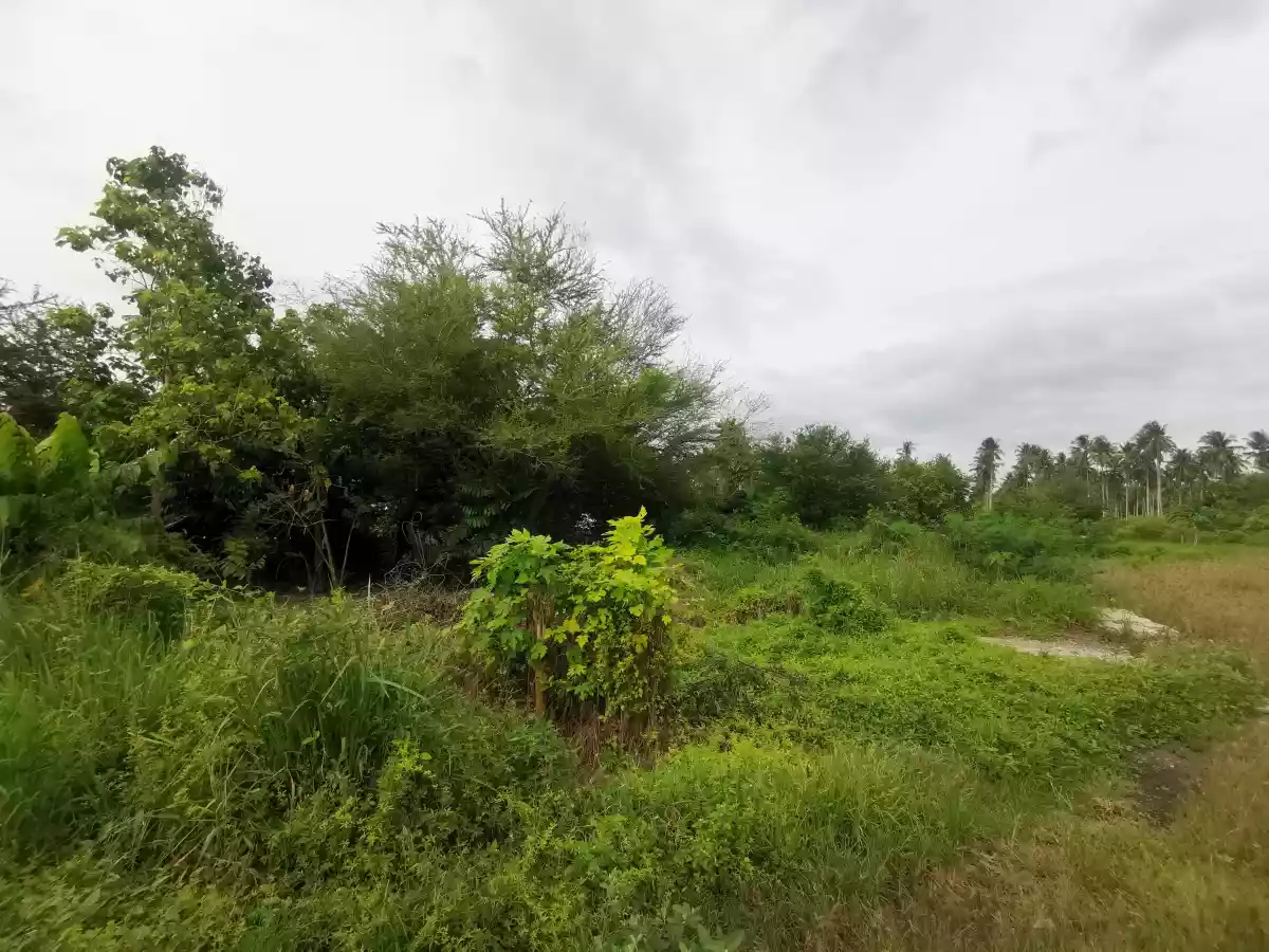Open photo 15 of 19 — Subdivided Lots at Barangay Ligaya at the back of Agan Ligaya Subdivision and UST Hospital alongside of the proposed CityMall