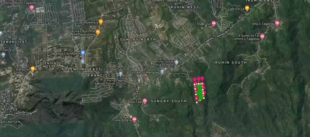 Tagaytay 5 Hectares Agricultural Land