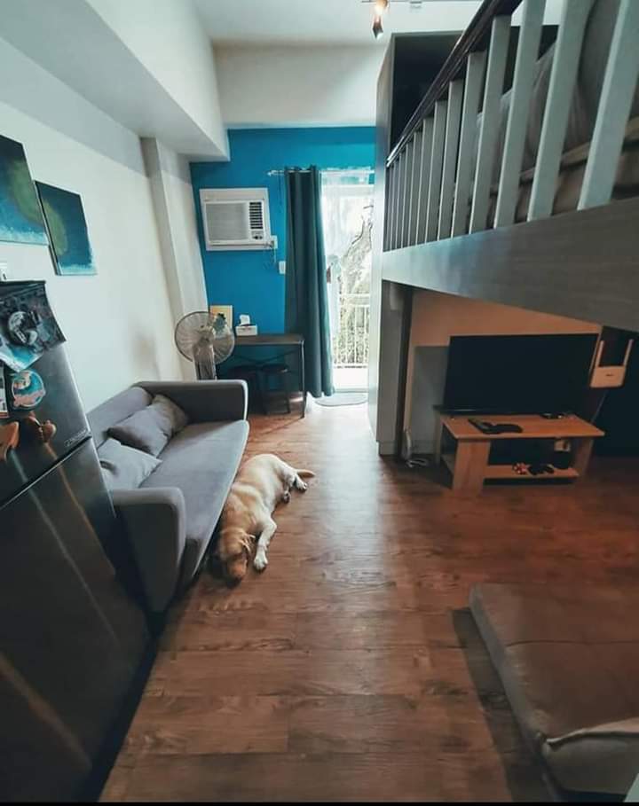 Assume Assume Studio  Near airport - photo 2