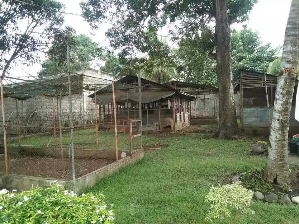 LOT FOR SALE — Residential Lot in Amlan, Negros Oriental, Philippines — Photo 4