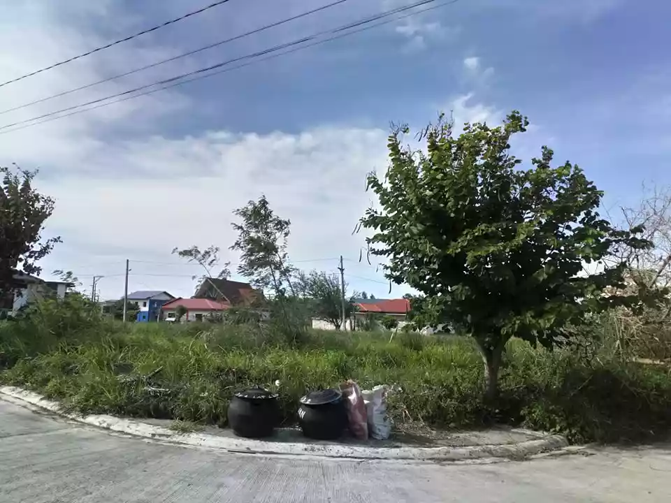 CARMELA DE BACOLOD SUBDIVISION - photo 6