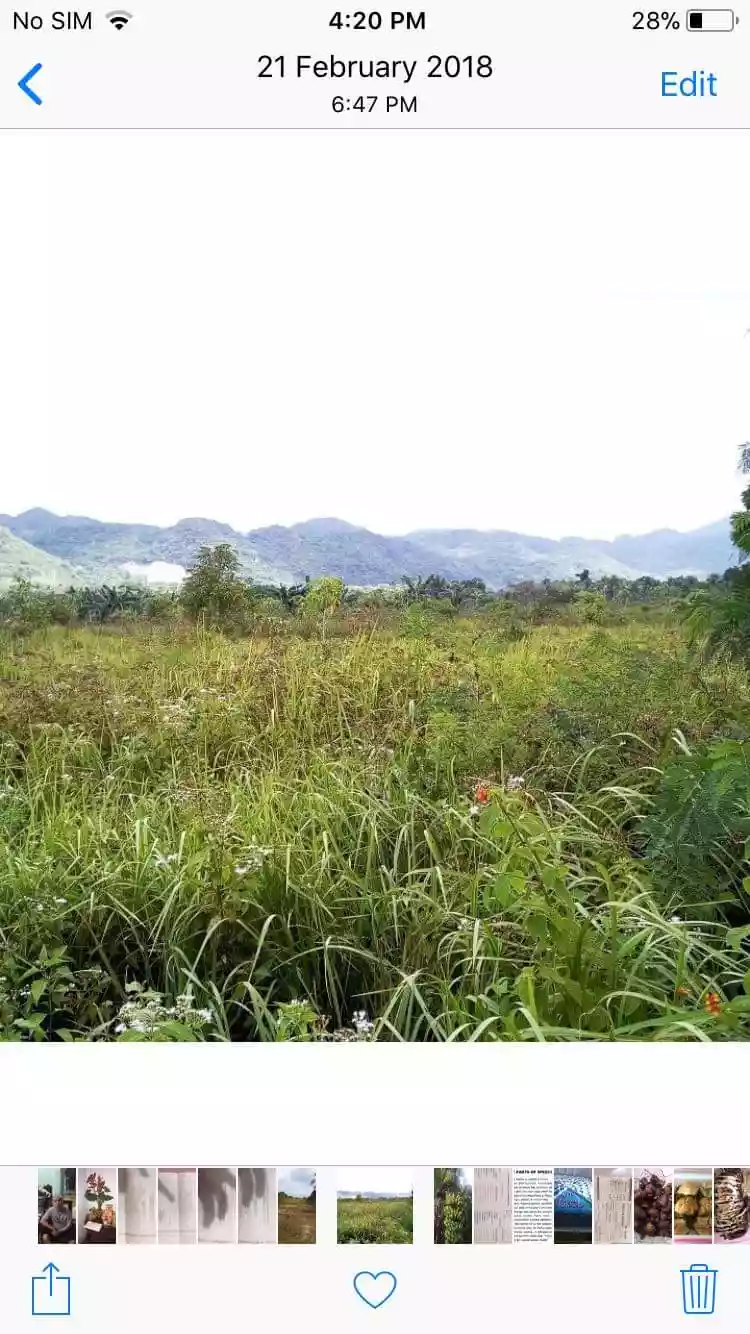 Farm lot for sale