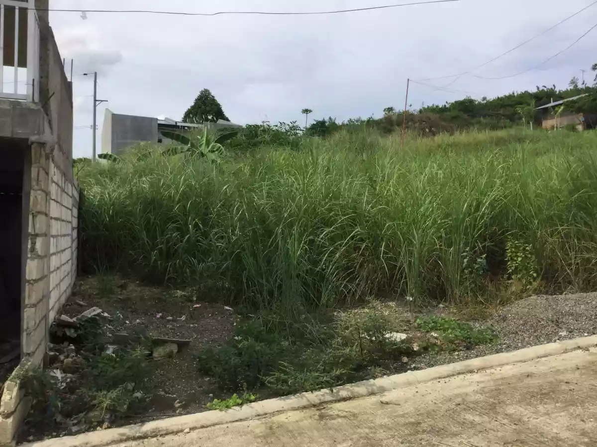 Residential Lot for Sale in San Vicente Liloan, Cebu - photo 3