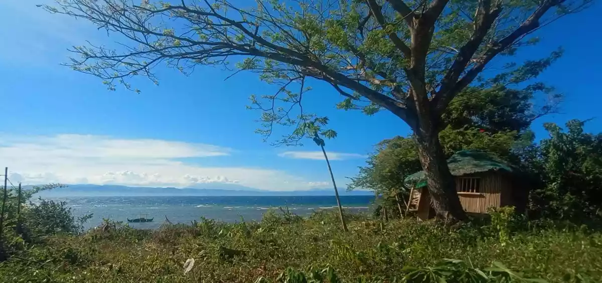 FOR SALE Beach Front Lot Along Brgy. Road and Near Major Establishments — Residential Lot in Dumanjug, Cebu, Philippines — Photo 6